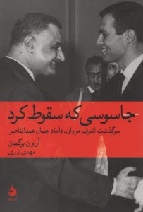 پایانه - جاسوسی که سقوط کرد