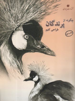 پایانه - چگونه از پرندگان طراحی کنیم