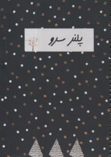 پایانه - پلنر سرو