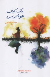 پایانه - یک کیف هوای سرد