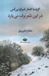 پایانه - در این شعر برف می بارد: گزیده اشعار شیرکو بی کس