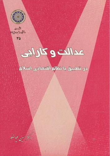پایانه - عدالت و کارایی