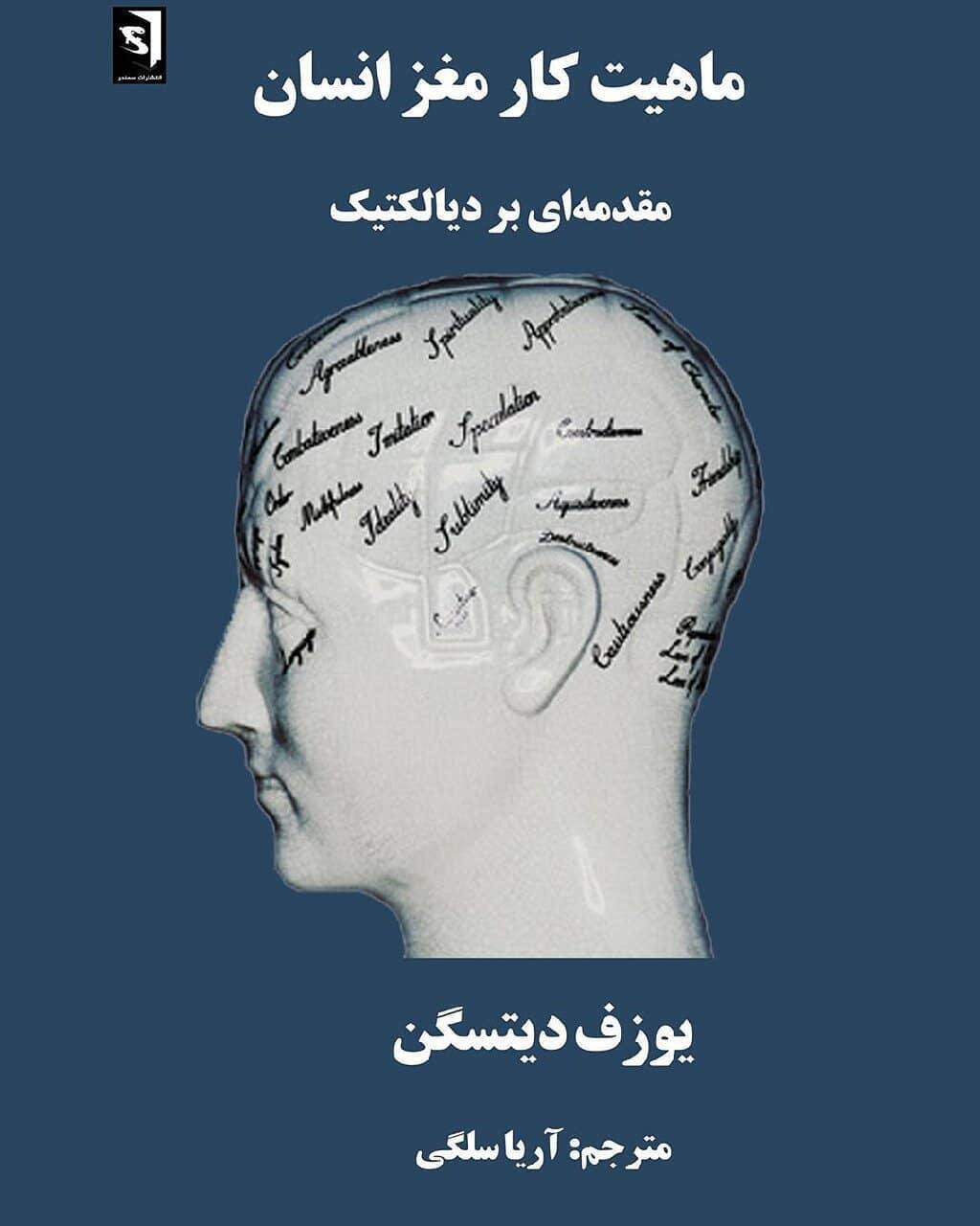 پایانه - ماهیت کار مغز انسان