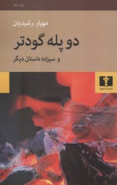 پایانه - دو پله گودتر و سیزده داستان دیگر