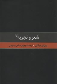 پایانه - شعر و تجربه: نقادی هنر
