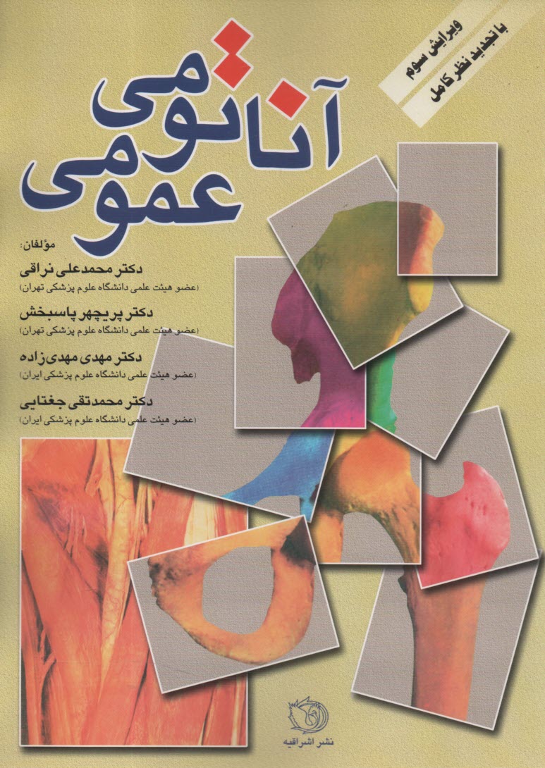 پایانه - آناتومی عمومی