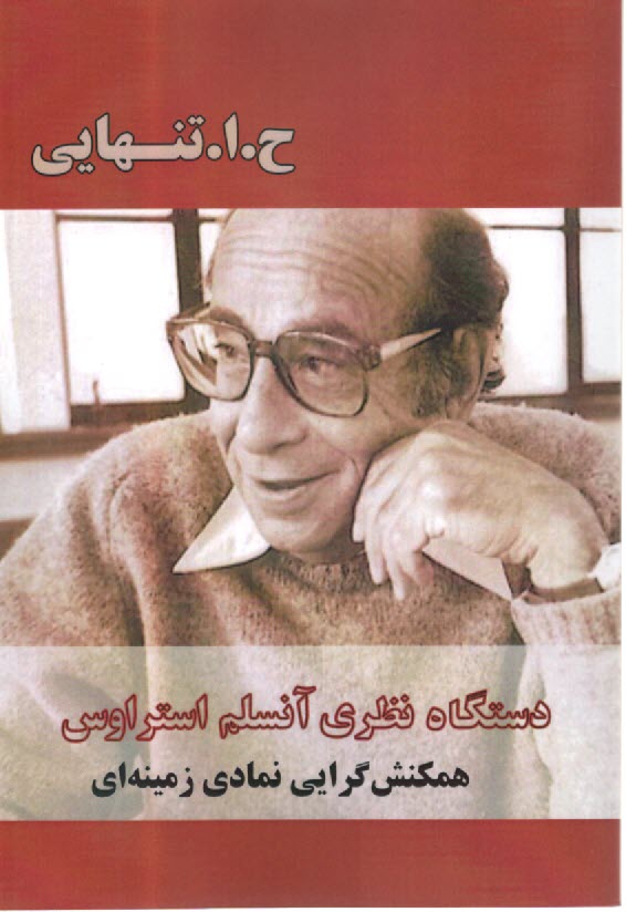 پایانه - دستگاه نظری آنسلم استراوس: همکنش گرایی نمادی زمینه ای