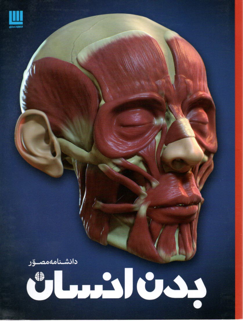 پایانه - دانشنامه مصور بدن انسان