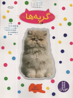 پایانه - نردبان - بچسبان و بیاموز (16): گربه ها