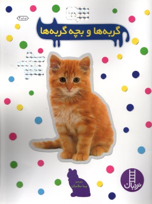 پایانه - نردبان - بچسبان و بیاموز (15): گربه ها و بچه گربه ها