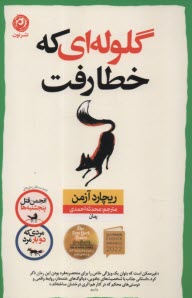 پایانه - گلوله ای که خطا رفت