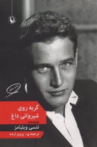 پایانه - گربه روی شیروانی داغ