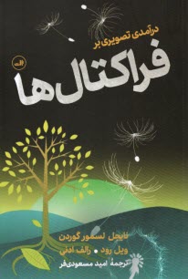 پایانه - درآمد تصویری بر فراکتال ها