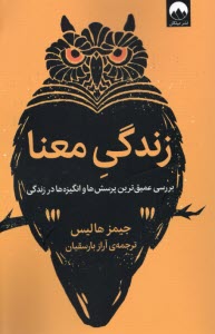 پایانه - زندگی معنا: بررسی عمیق ترین پرسش ها و انگیزه ها در زندگی