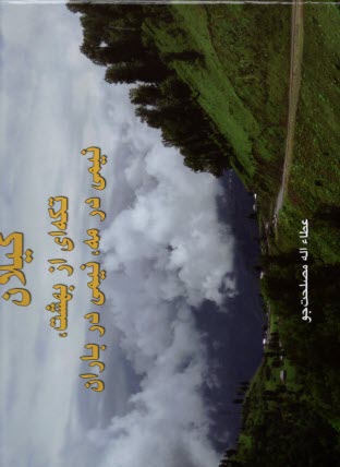 پایانه - بید بی لیلا