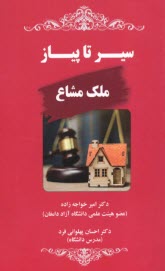 پایانه - سیر تا پیاز ملک مشاع