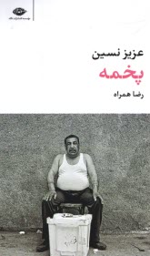 پایانه - پخمه