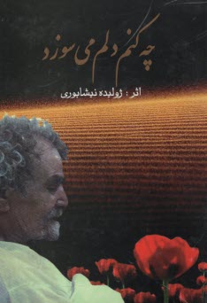 پایانه - چه کنم دلم می سوزد