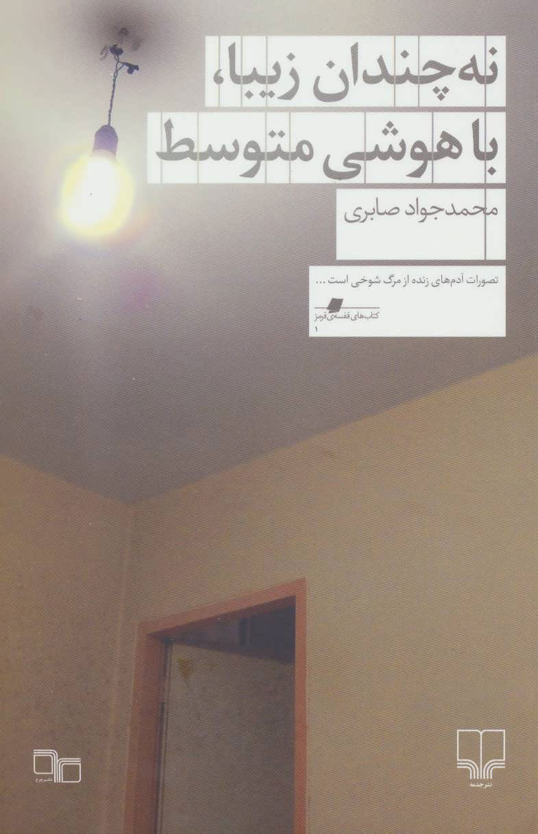 پایانه - نه چندان زیبا ، با هوشی متوسط