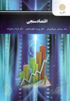 پایانه - اقتصادسنجی (رشته اقتصاد)