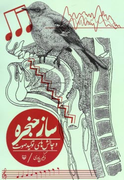 پایانه - ساز حنجره و چالش های تولید صوت