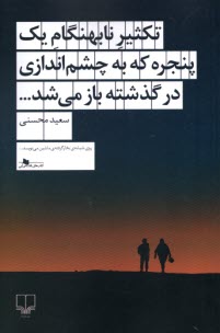 پایانه - تکثیر نابهنگام یک پنجره که به چشم اندازی در گذشته باز می شد