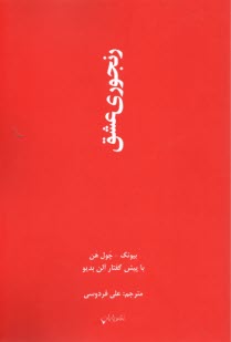 پایانه - رنجوری عشق