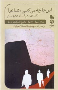 پایانه - این جا چه می کنی شاعر؟: گزیده ی شعر لهستان