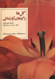 پایانه - گل ها و گیاهان آپارتمانی: گونه ها و هیبریدهای گلدار، برگ سبز، برگ رنگی