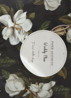 پایانه - 953- پلنر