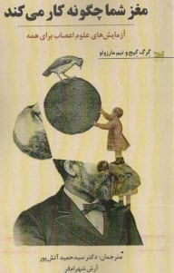 پایانه - مغز شما چگونه کار می کند:آزمایش های علوم اعصاب برای همه