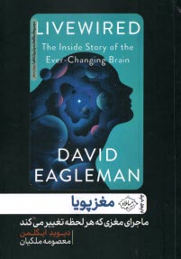 پایانه - مغز پویا: ماجرای مغزی که هر لحظه تغییر می کند