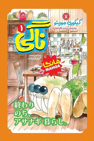 پایانه - ناگی 1