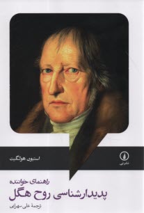 پایانه - پدیدارشناسی روح هگل، راهنمای خواننده