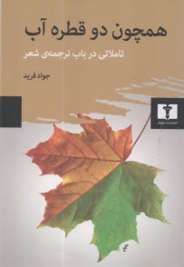 پایانه - همچون دو قطره آب: تاملاتی در باب ترجمه ی شعر