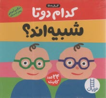 پایانه - کدام دوتا شبیه اند؟