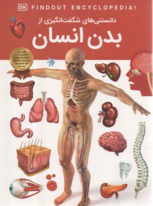 پایانه - دانستنی های شگفت انگیزی از بدن انسان