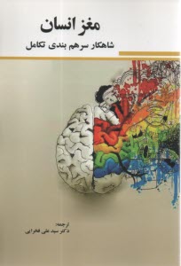 پایانه - مغز انسان:  شاهکار سرهم بندی  تکامل