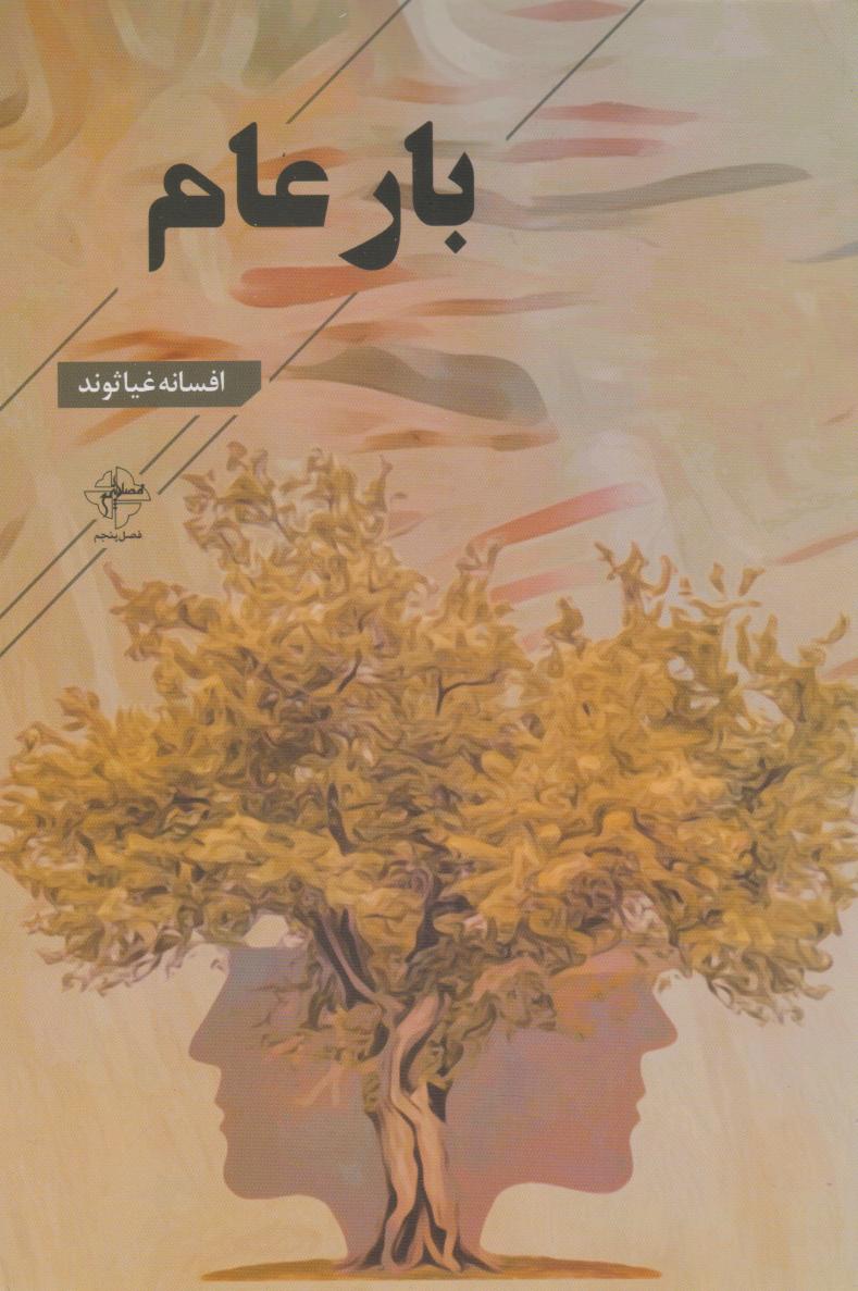 پایانه - بار عام