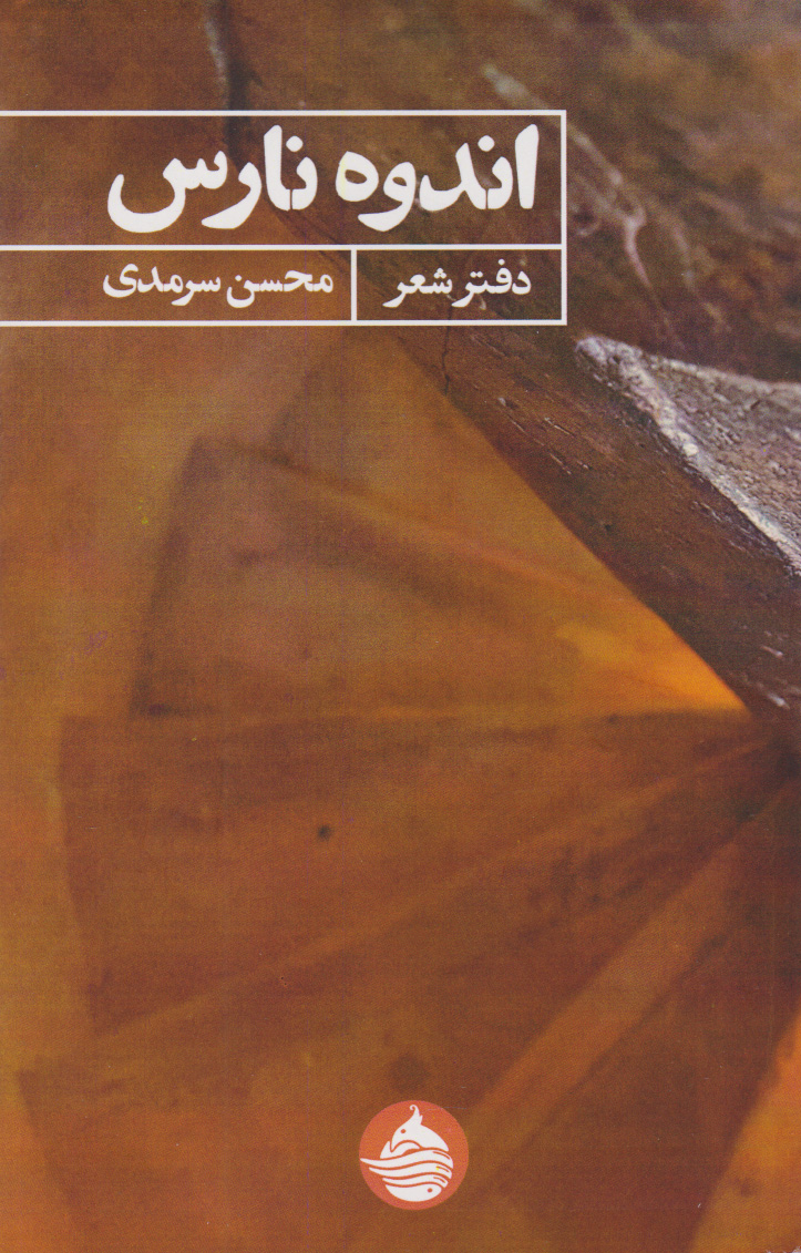 پایانه - اندوه نارس