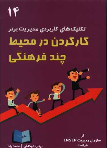 پایانه - کار کردن در محیط چند فرهنگی