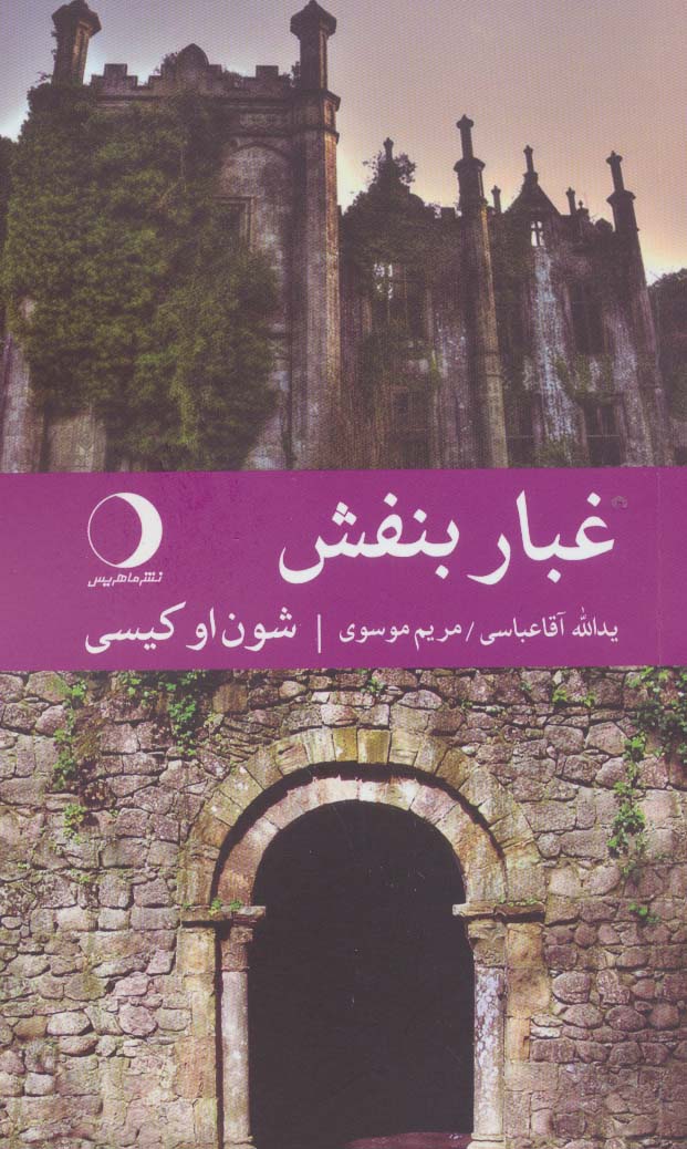 پایانه - غبار بنفش