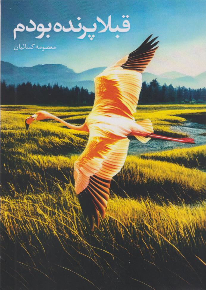 پایانه - قبلا پرنده بودم