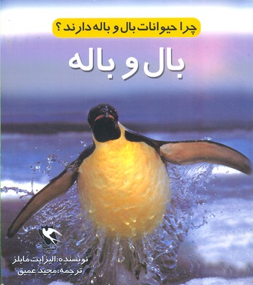 پایانه - چرا حیوانات بال و باله دارند؟ (بال و باله)