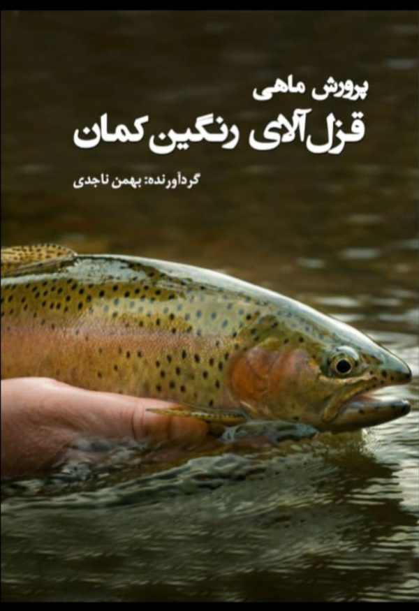 پایانه - پرورش ماهی قزل آلای رنگین کمان