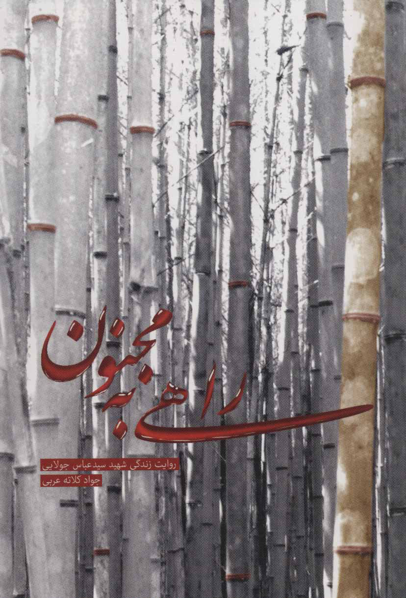 پایانه - راهی به مجنون