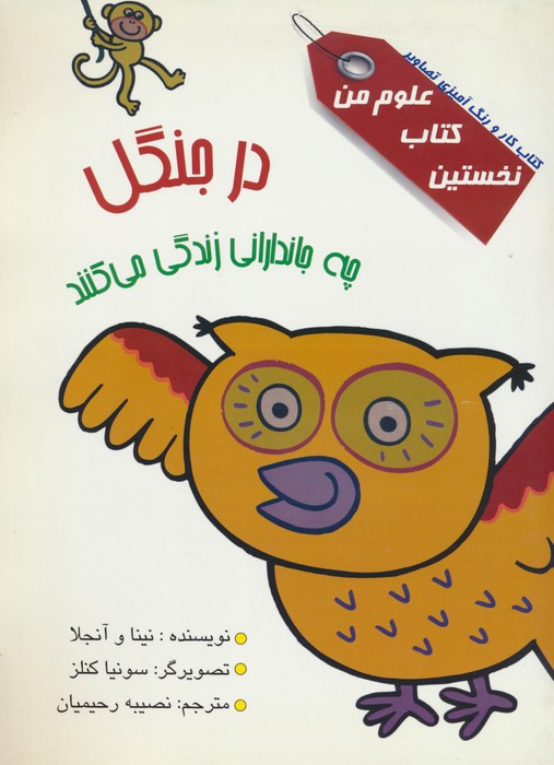 پایانه - در جنگل چه جاندارانی زندگی می کنند؟