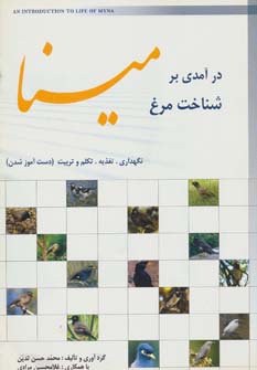 پایانه - درآمدی بر شناخت مرغ مینا