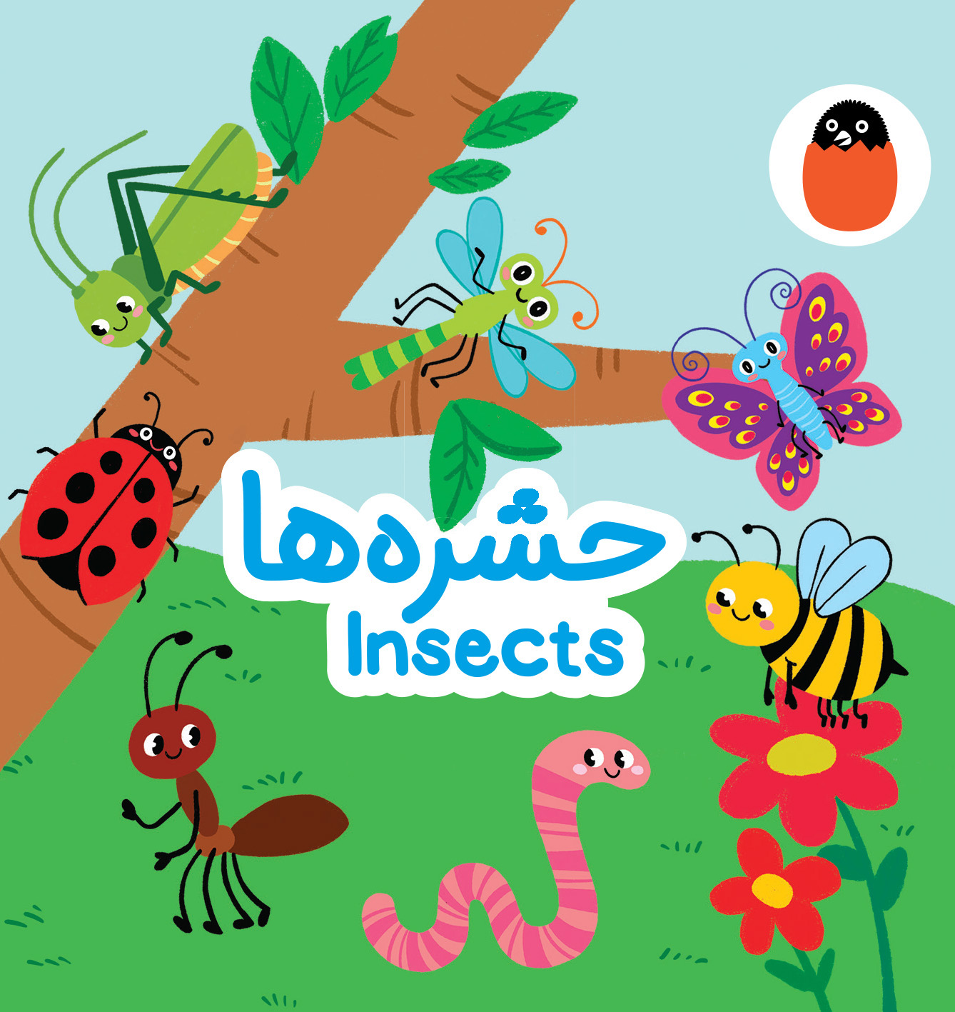 پایانه - حشره ها