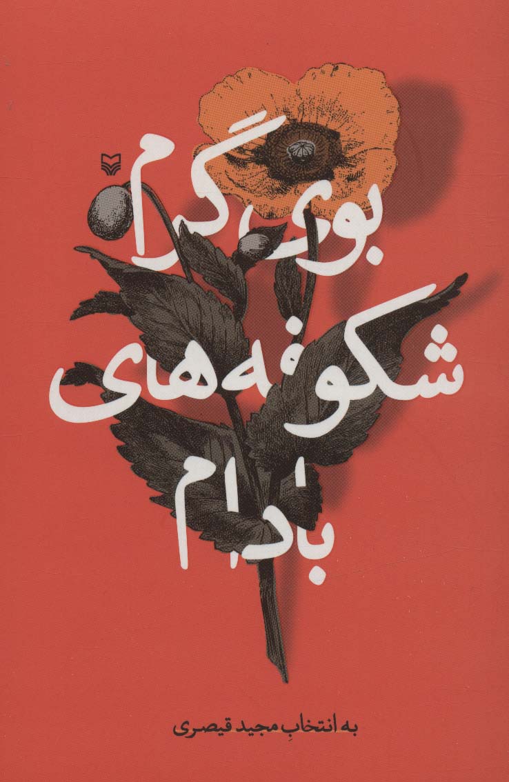 پایانه - بوی گرم شکوفه های بادام